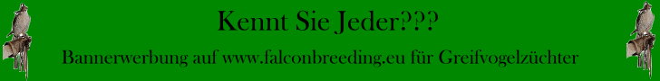 Bannerwerbung auf Falconbreeding