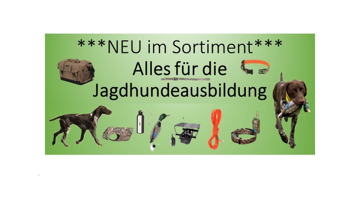 Jagdhundeausbildung