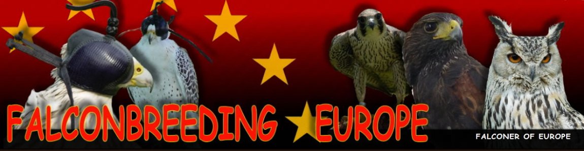 Falconbreeding Europe