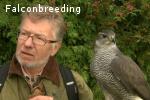 Die Beizjagd mit dem Habicht von A-Z. Siehe auch Praxis