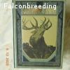 DIE HOHE JAGD  Die Hohe Jagd - Reprint 1920 - Paul Parey