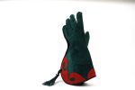 Falknerhandschuh_4c7904ee54351.jpg