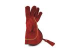 Falknerhandschuh_4faedb44af977.jpg