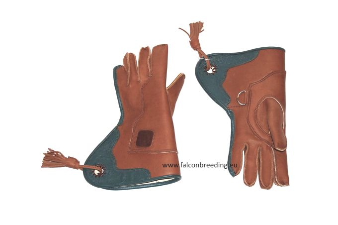 Falknerhandschuh für Habicht/Falke