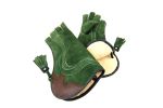Adlerhandschuh_g_4b50d7bc4983d.jpg