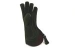 Adlerhandschuh_g_4b50d7bc4983d.jpg