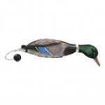 Apportierdummy Stockente