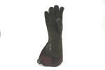 Adlerhandschuh_4_4cc9be1d380d7.jpg